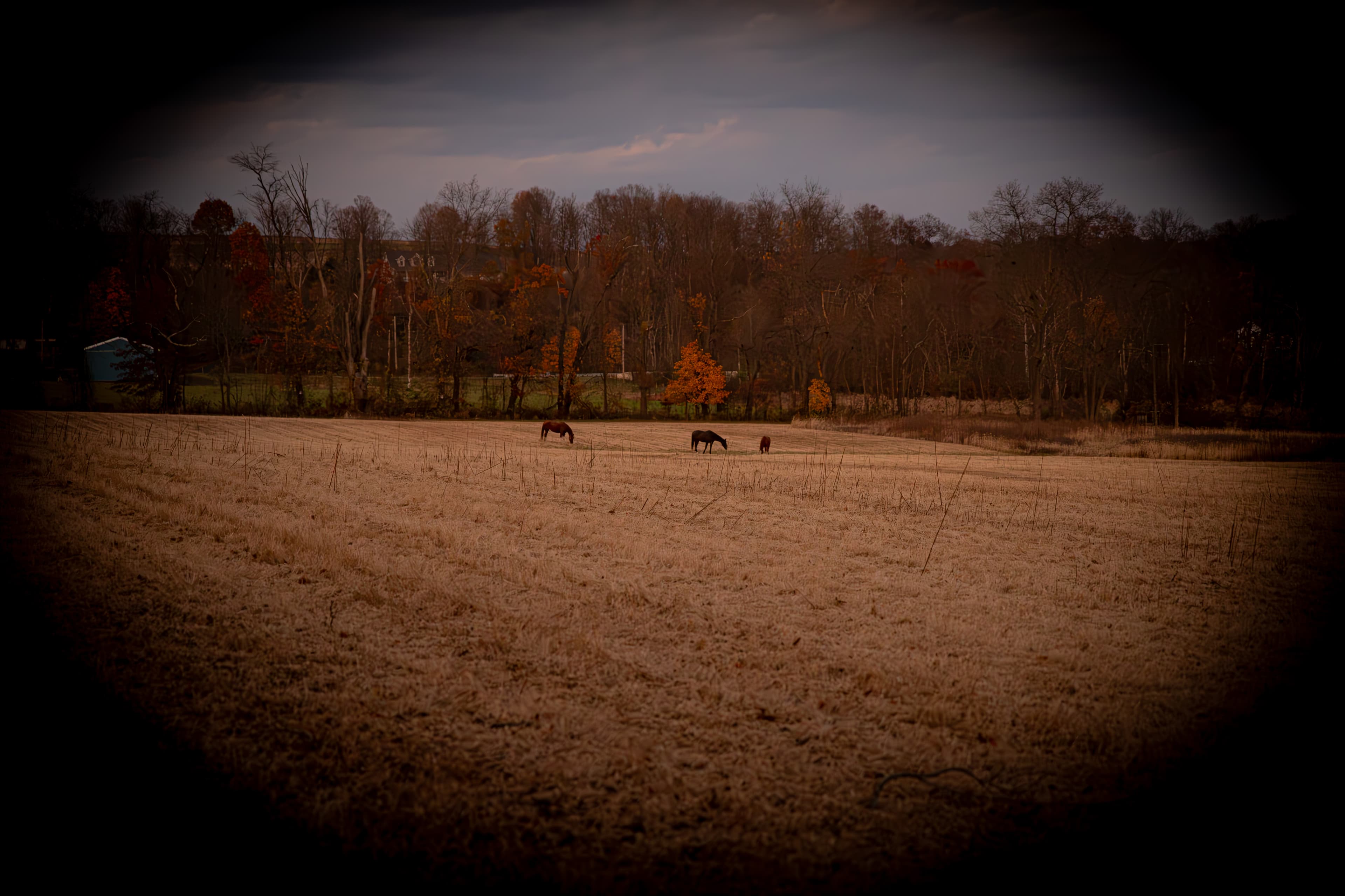Salt & Silence Homestead aerial view