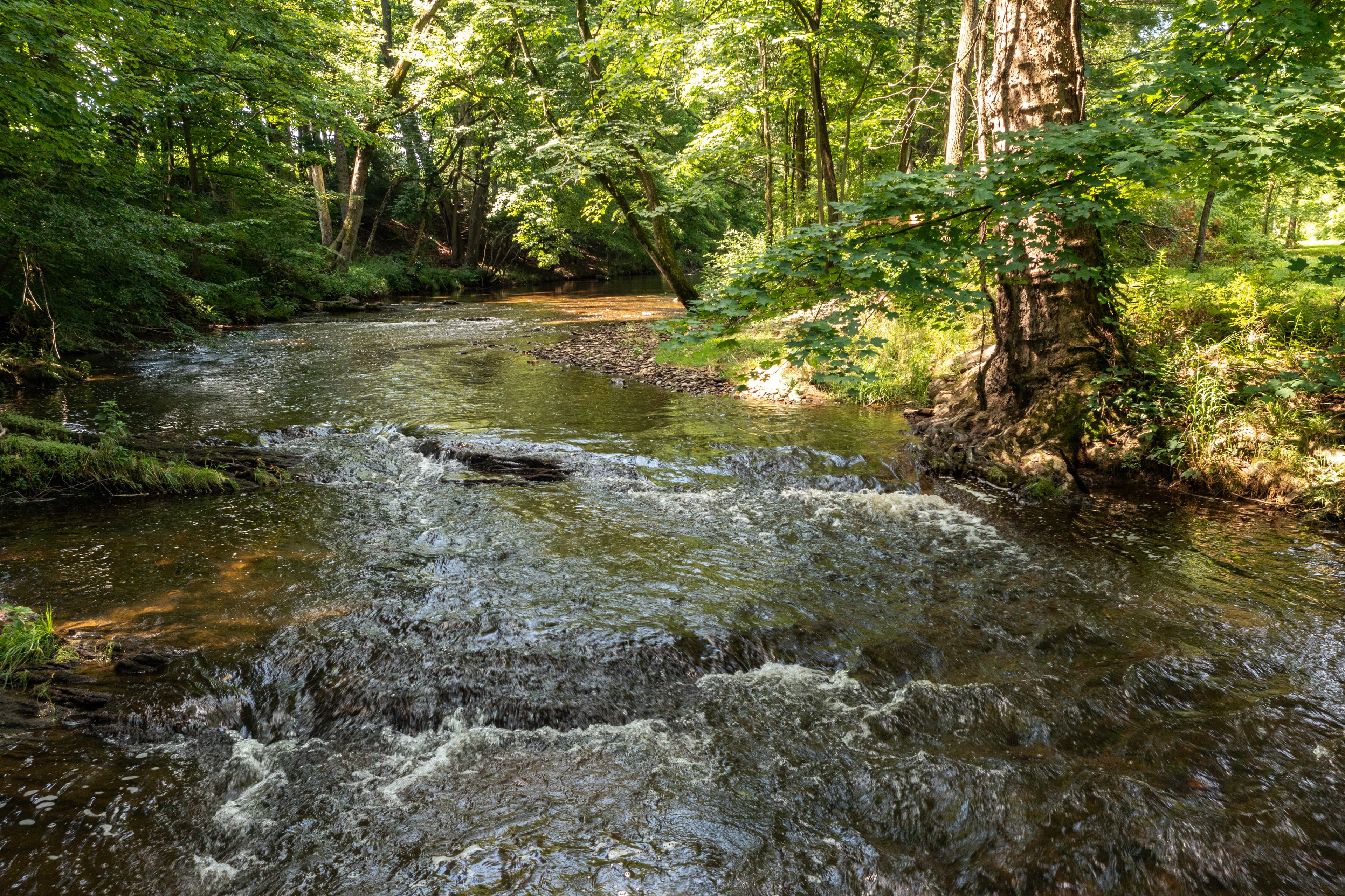 Salt & Silence Homestead